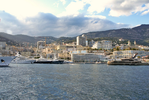 Enlèvement arbre urgence Monaco